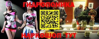 шишки Комсомольск-на-Амуре