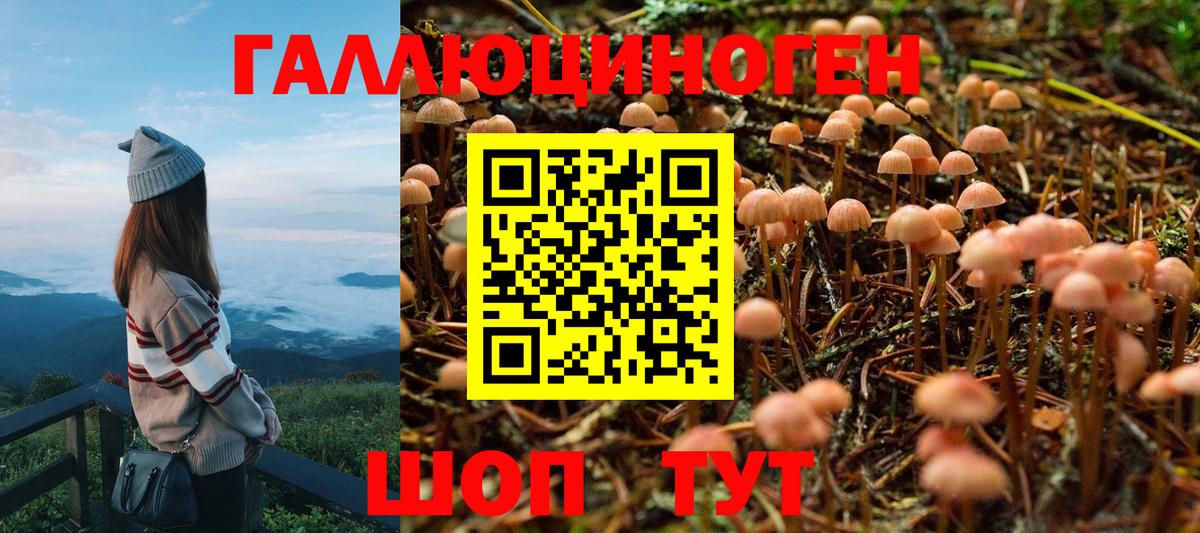 Чехов  Галлюциногенные грибы ЛСД  Вход с VPN  Псилоцибиновые грибы MAGIC MUSHROOMS 