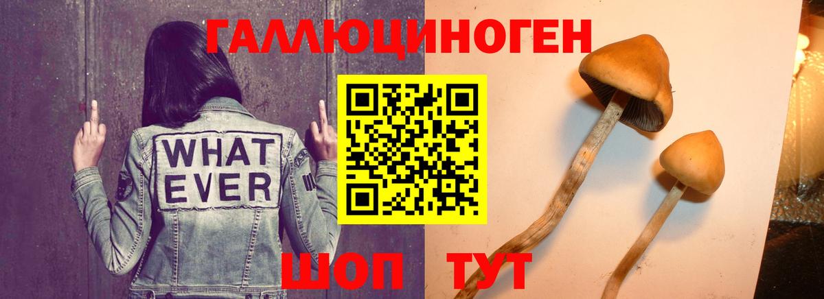 Галлюциногенные грибы прущие грибы Чехов